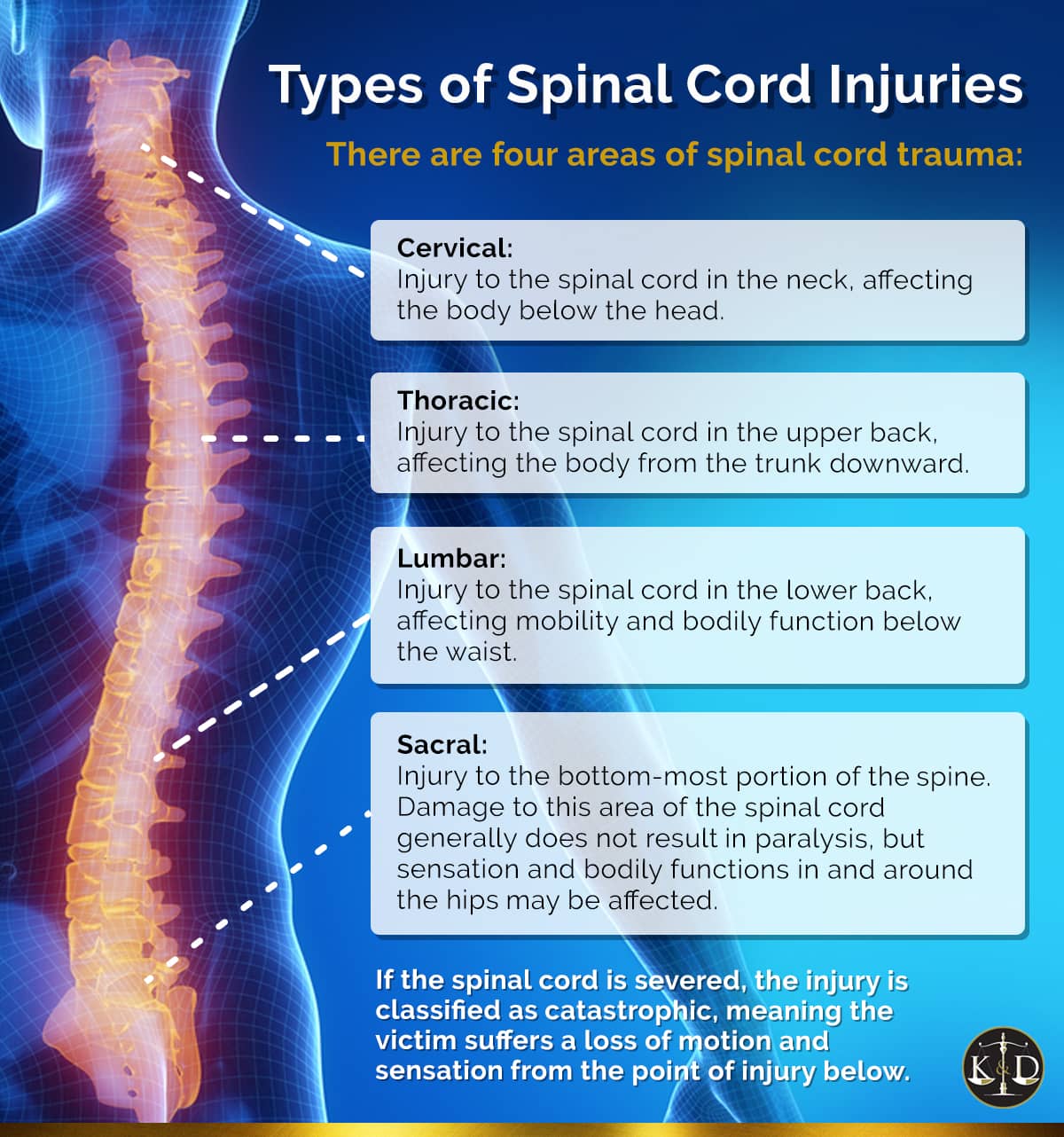 Spinal Cord Injury Types